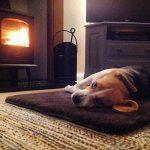 Sheepland Sheepskin Chocolate Pet Bed with dog lying on it, in front of lit fire