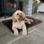 Sheepland Sheepskin Chocolate Pet Bed with dog lying on it, in front of fire place