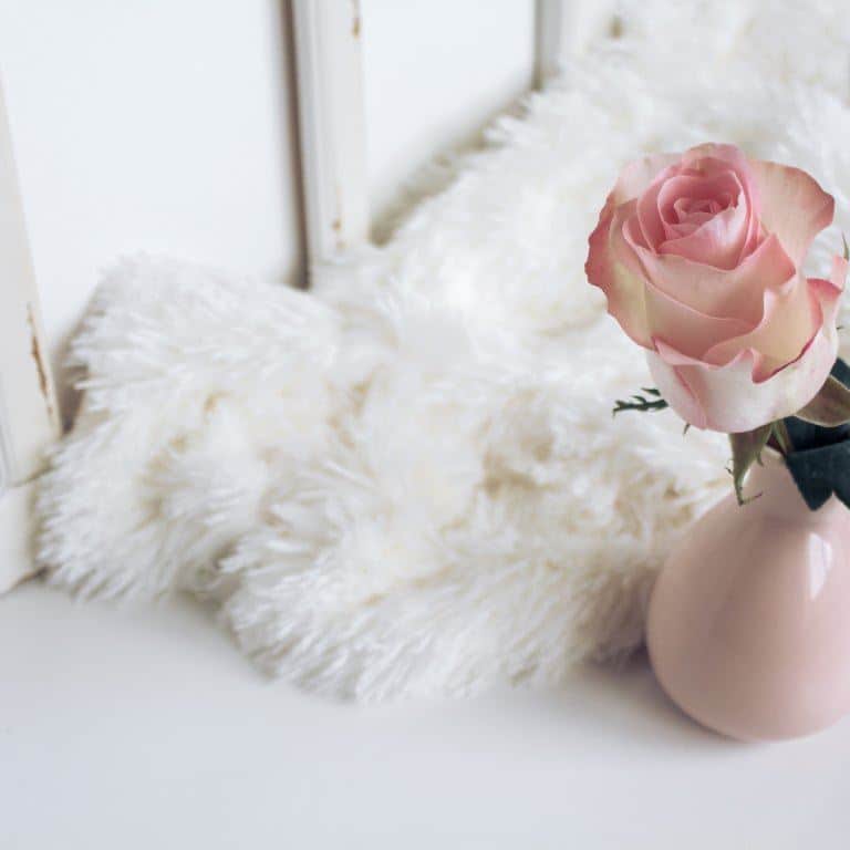 Sheepland Sheepskin Blog 35