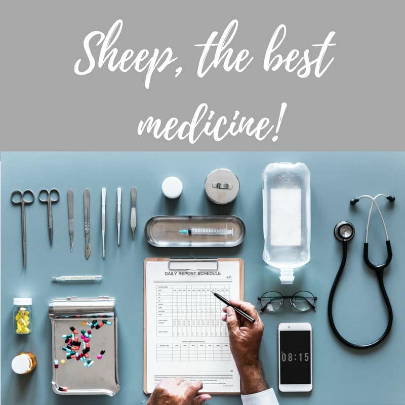 Sheep, the best medicine Sheepskin.co.uk