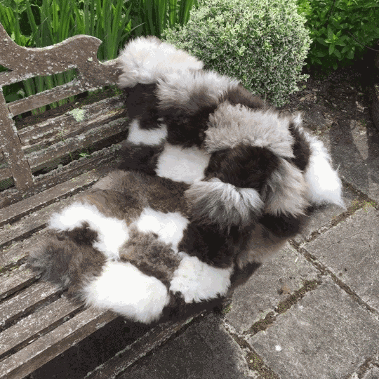 British Sheepskin Patchwork Dog Throw/Rug Sheepskin.co.uk